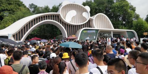 Warteschlange vor der Pandaaufzuchtstation